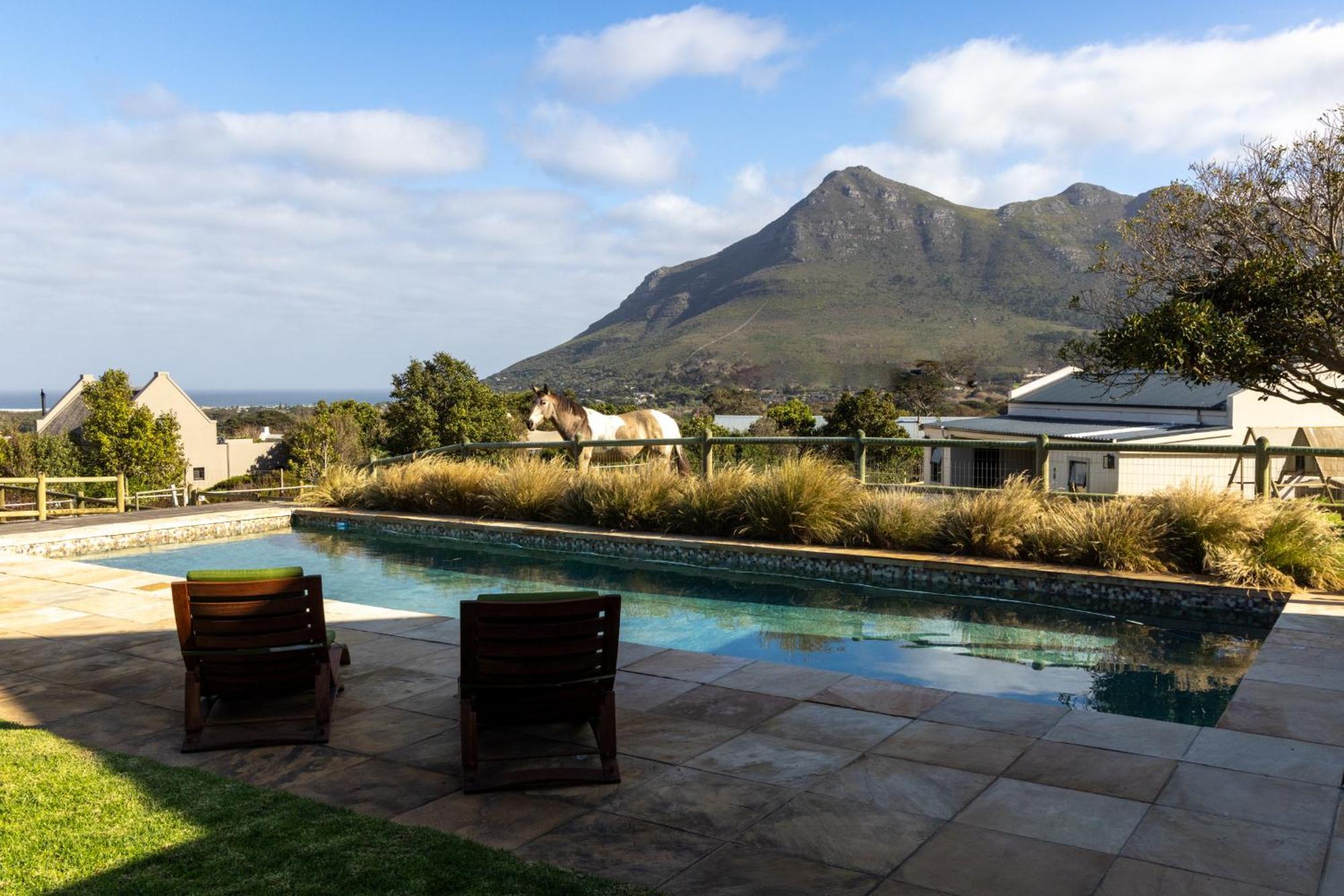 Serene, Thatched Apartment In Noordhoek, Κέιπ Τάουν Εξωτερικό φωτογραφία